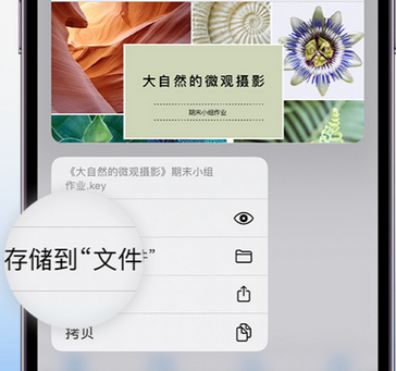 阿荣apple维修中心分享iPhone文件应用中存储和找到下载文件 阿荣apple维修中心分享iPhone文件应用中存储和找到下载文件