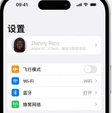 阿荣appleID维修服务iPhone设置中Apple ID显示为灰色无法使用 