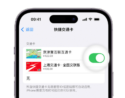 阿荣apple维修点分享iPhone上更换Apple Pay快捷交通卡手绘卡面 