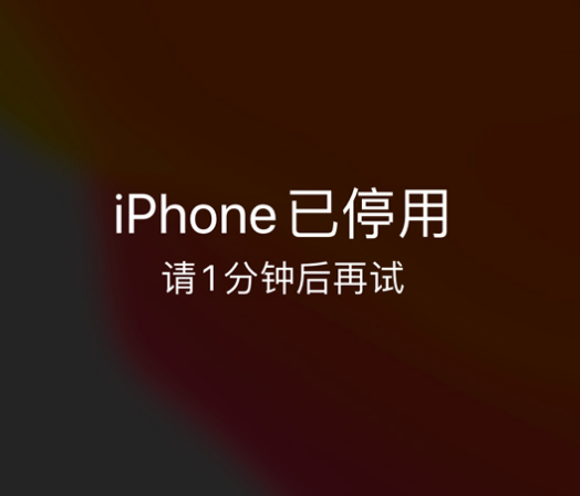 阿荣苹果手机维修分享:iPhone 显示“不可用”或“已停用”怎么办？还能保留数据吗？ 