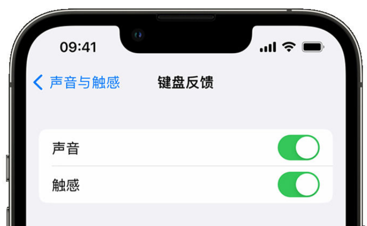 阿荣苹果手机维修分享iPhone 14触感键盘使用方法 