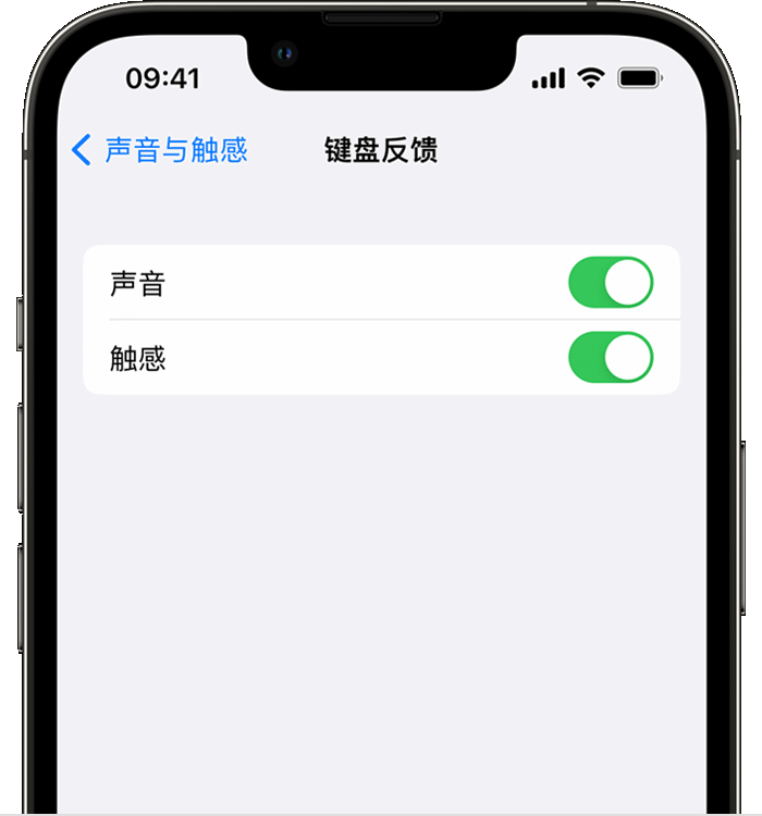 阿荣苹果14维修店分享如何在 iPhone 14 机型中使用触感键盘 