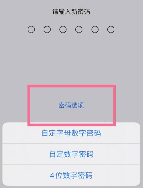 阿荣苹果14维修分享iPhone 14plus设置密码的方法 