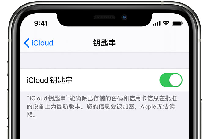 阿荣苹果手机维修分享在 iPhone 上开启 iCloud 钥匙串之后会储存哪些信息 