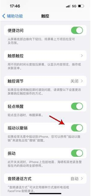 阿荣苹果手机维修分享iPhone手机如何设置摇一摇删除文字 