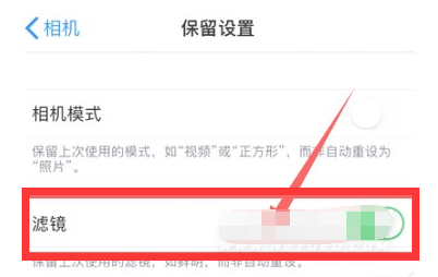 阿荣苹果13维修分享iPhone13拍照有绿点是怎么回事 