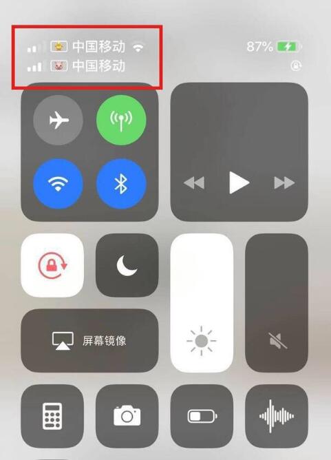 阿荣苹果手机维修分享为 iPhone 12 双卡设置标签 
