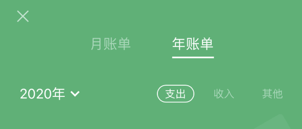 阿荣苹果手机维修分享如何在 iPhone 上查看支付宝和微信年支出账单 
