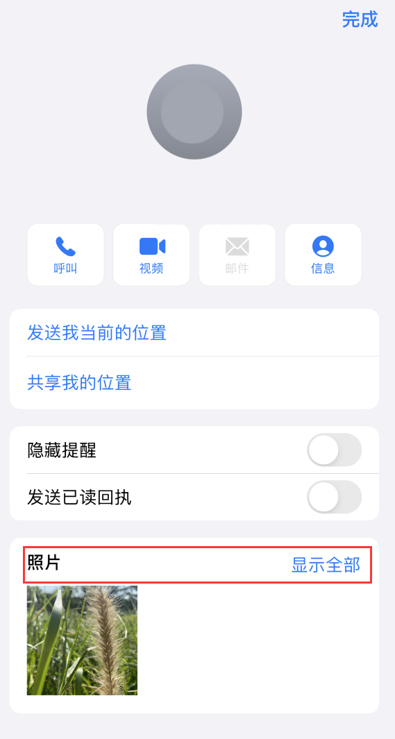 阿荣苹果手机维修分享如何快速查找 iMessage 信息中的图片等附件 